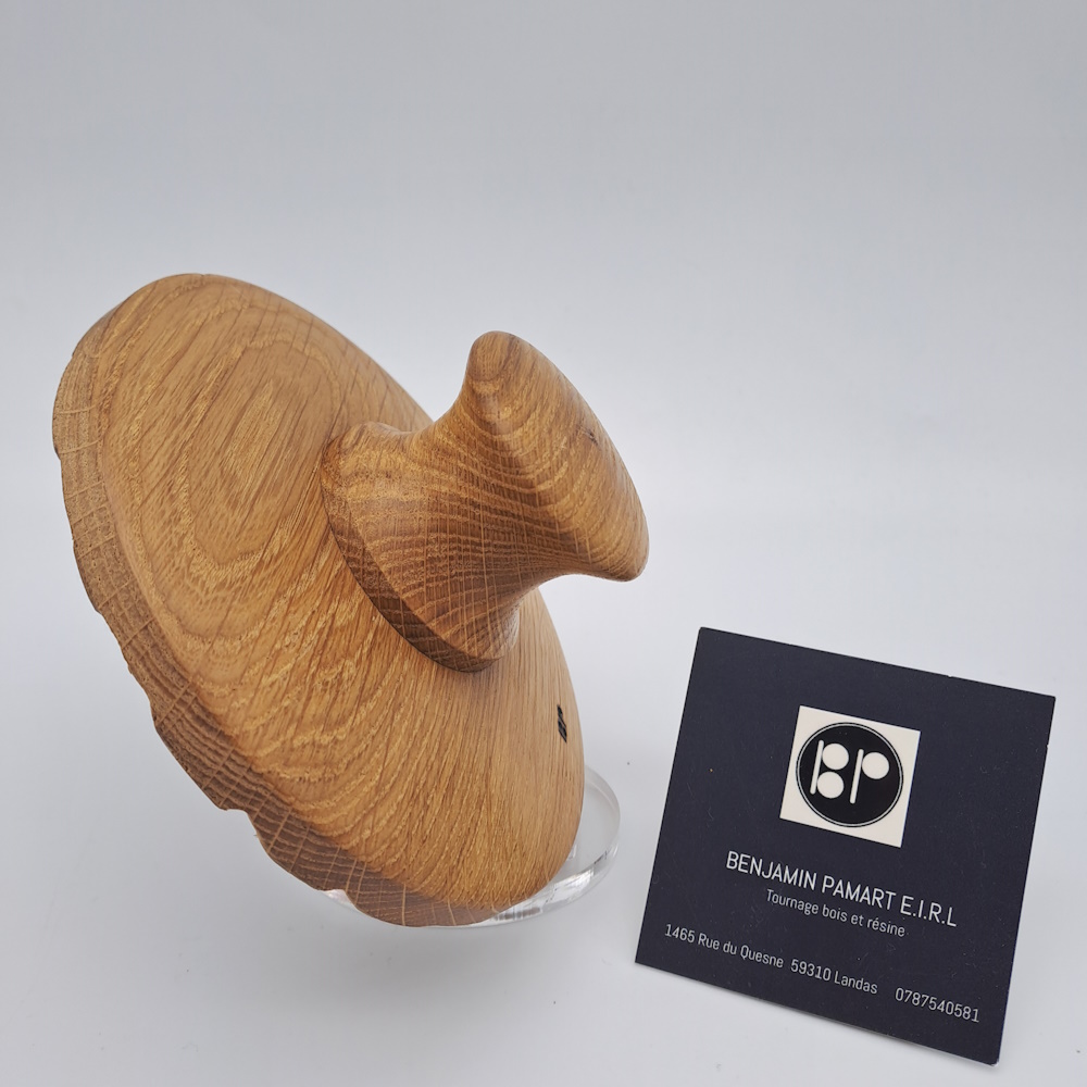 Plateaux de feutrage diamètre 125mm – Image 4